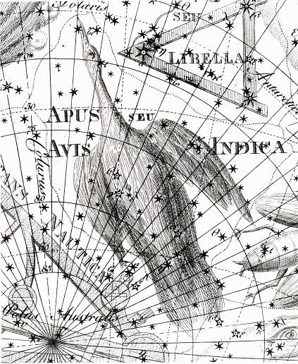 Rajka z atlasu J. Bodeho