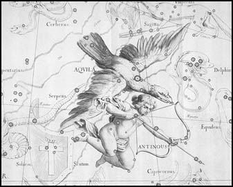 Orol z atlasu J. Hevelia