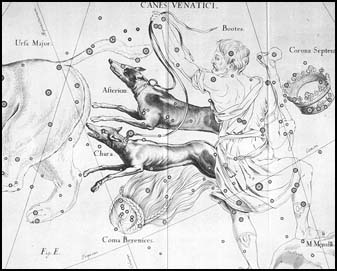 Poovn psy z atlasu J. Hevelia