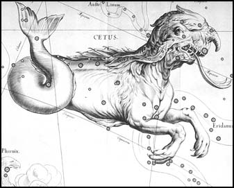 Veľryba z atlasu J. Hevelia