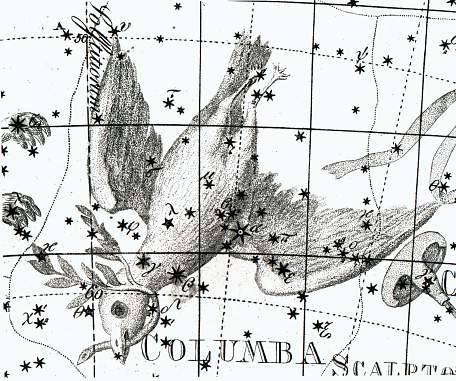 Holubica z atlasu J. Bodeho