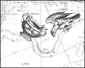 Havran z atlasu J. Hevelia
