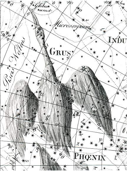 eriav z atlasu J. Bodeho