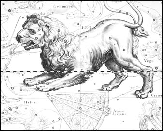 Lev z atlasu J. Hevelia
