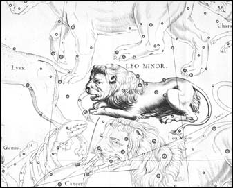 Mal lev z atlasu J. Hevelia