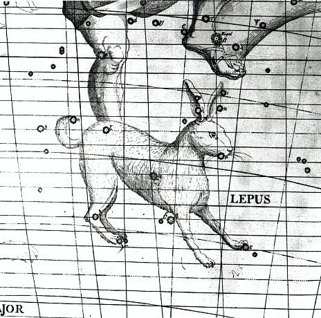 Zajac z atlasu J. Hevelia