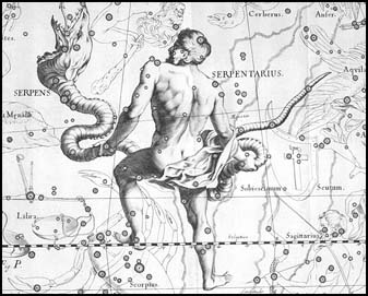 Hadonos z atlasu J. Hevelia