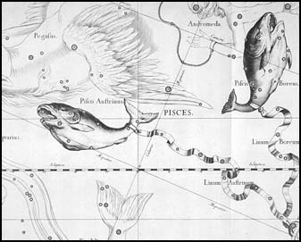 Ryby z atlasu J. Hevelia