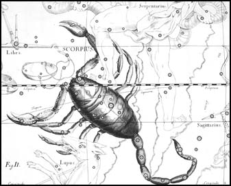 korpin z atlasu J. Hevelia