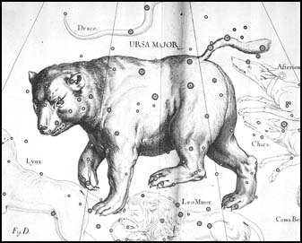 Vek medvedica z atlasu J. Hevelia