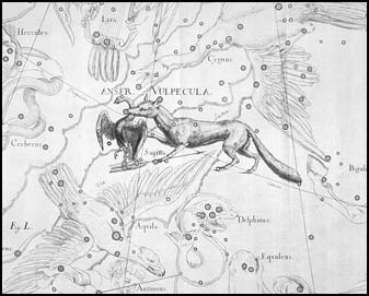 Lka z atlasu J. Hevelia