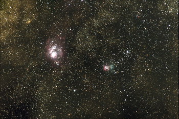 Lagna a Trifid