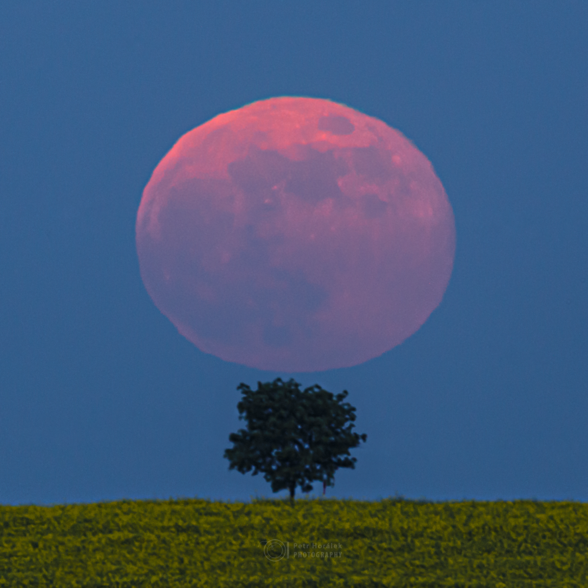 Spring Full Moon rising Petr Horálek Photography