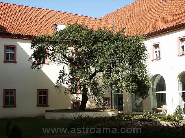 pict0039