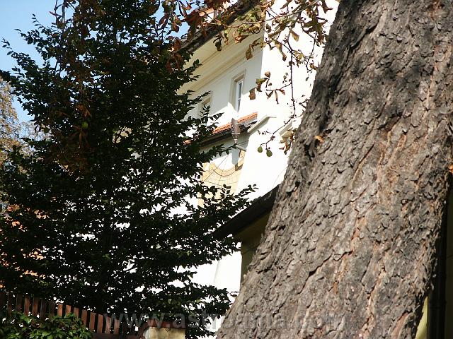 pict0021