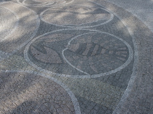 Foto J. Ciesla - 2006.