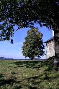 Jedlov - foto Milo Hroch