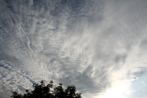 Altocumulus