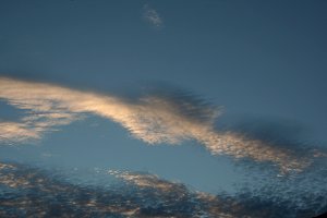 Altocumulus