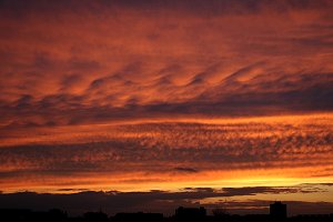 Altocumulus