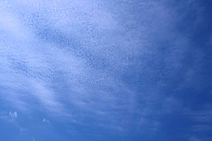 Cirrocumulus