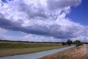 Cumulus