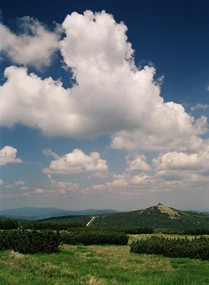 Cumulus