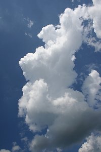 Cumulus