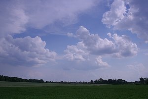 Cumulus